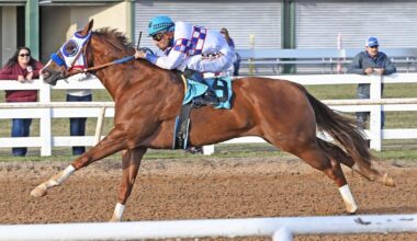 Quarter Horses kick off fall racing season at Will Rogers Downs | Sports
