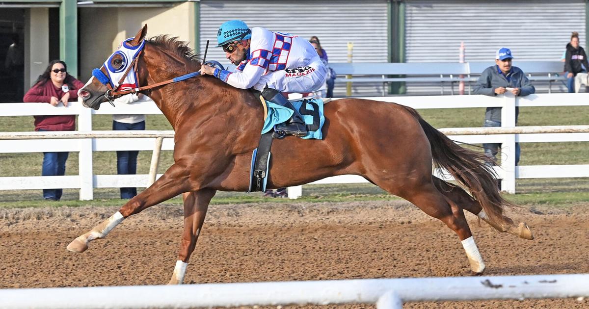 Quarter Horses kick off fall racing season at Will Rogers Downs | Sports