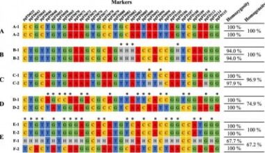 High-Resolution Genetic Tools Pave Way for Future Ginseng Cultivars