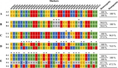 High-Resolution Genetic Tools Pave Way for Future Ginseng Cultivars