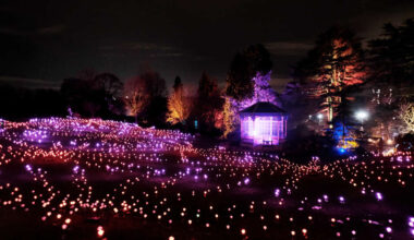 Enjoy a night like no other this Christmas