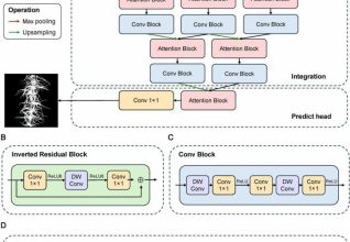 Deep learning model reveals genetic keys to wheat freeze tolerance