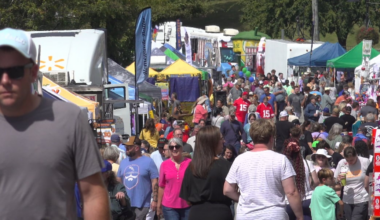 Downtown London celebrates World Chicken Festival
