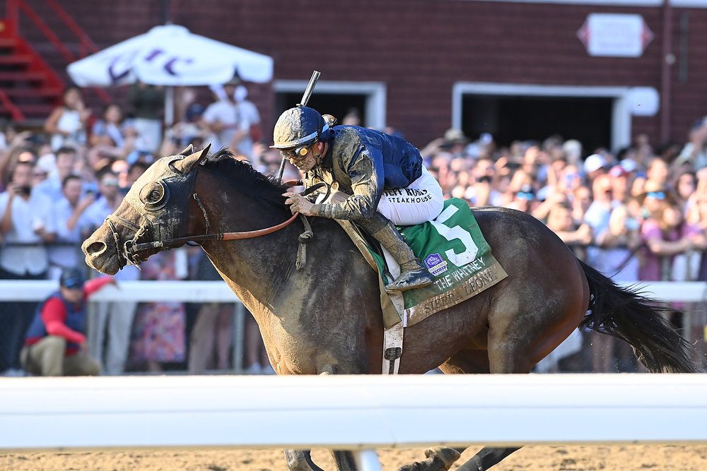 Sierra Leone came out of the Gold Cup in good order and will make his farewell in the Classic