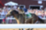 Sierra Leone targets the Classic double / ADAM COGLIANESE / NYRA