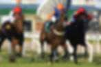 Kopke made the long-awaited step up to graded stakes level / JUAN I. BOZZELLO