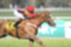 La Gran Furtiva was unstoppable in the Clásico Condesa / JUAN I. BOZZELLO