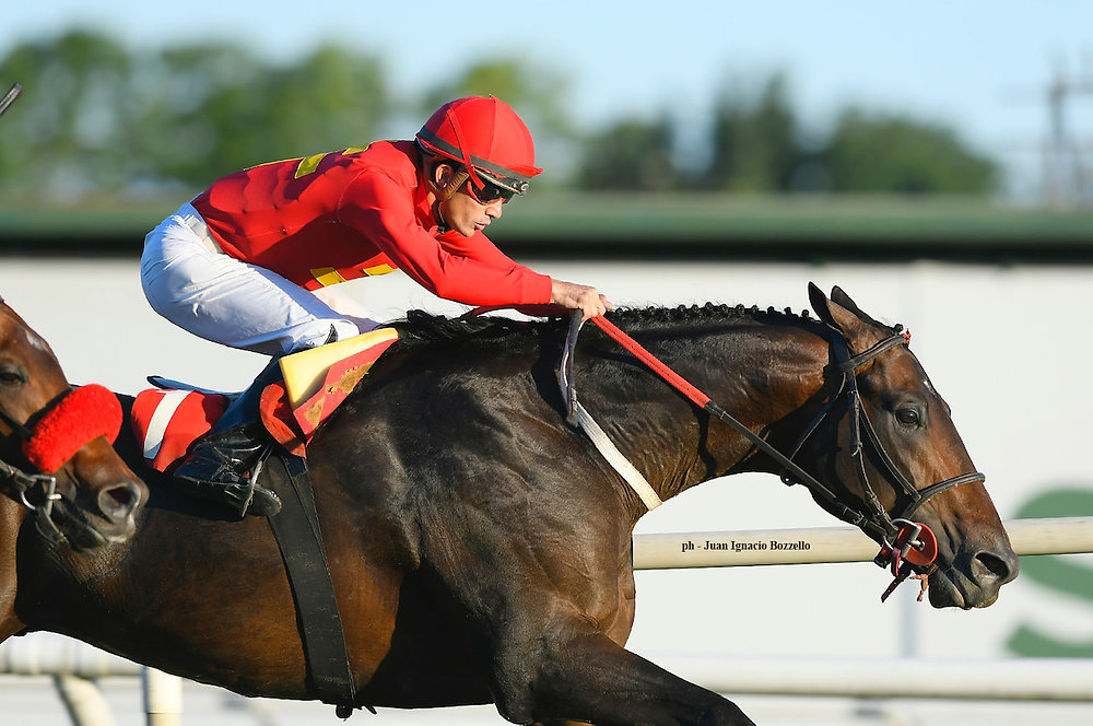 Unico Happy a Factor in San Isidro’s Handicap Equalize