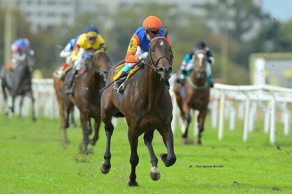 Natan is headed to Dubai, aiming for more celebrations in the colors of Stud Las Monjitas