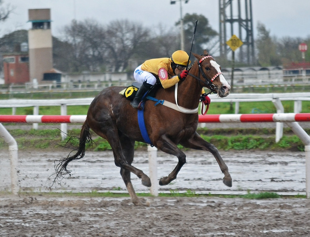 Jalimba Makes It Look Easy in La Plata Slop