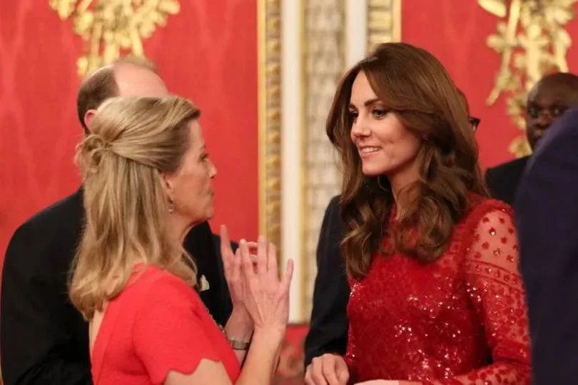 LONDON, ENGLAND - JANUARY 20:  Prince Edward, Earl of Wessex and Sophie, Countess of Wessex speak to Catherine, Duchess of Cambridge during a reception to mark the UK-Africa Investment Summit at Buckingham Palace on January 20, 2020 in London, England. (Photo by Yui Mok - WPA Pool/Getty Images)
