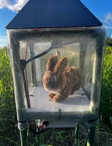 South Florida Water Management District via AP These robotic rabbits produce a heat signature and emit a smell designed to attract pythons.