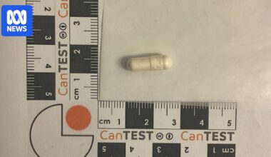 Rare nitazene discovered at Canberra pill-testing site believed to be an Australian first