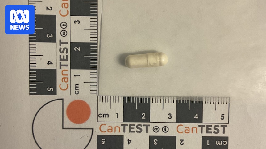 Rare nitazene discovered at Canberra pill-testing site believed to be an Australian first