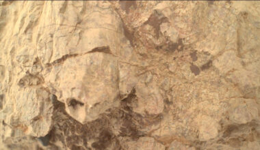 A photo of a turtle-shape rock formation on the surface of Mars