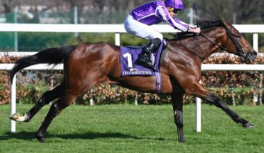 8 Breeders' Cup spots on line in Canada, Ireland weekend horse racing