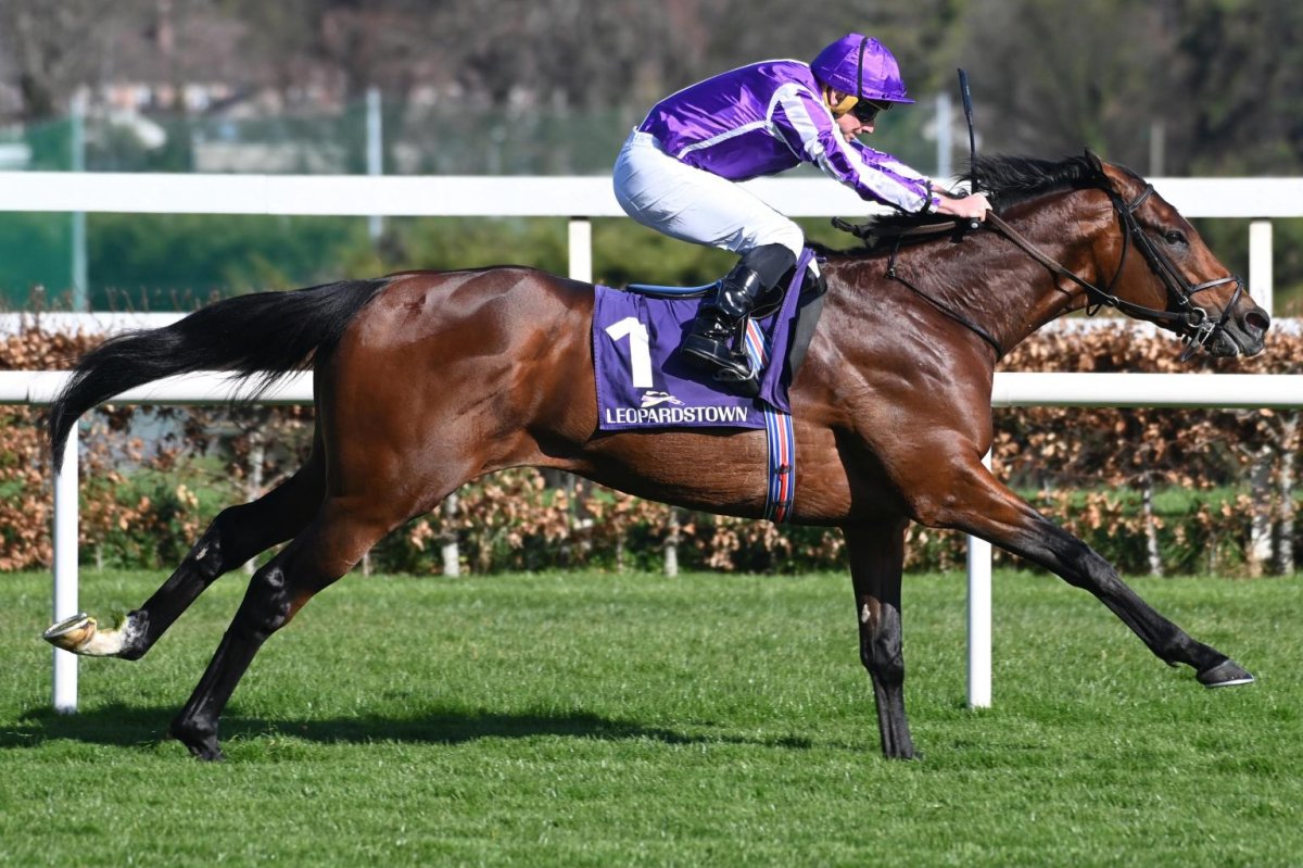8 Breeders' Cup spots on line in Canada, Ireland weekend horse racing