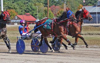 Fern Hill Flight flies in Cumberland Fair finale – U.S. Trotting News