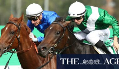 Michael Freedman sticking to patient path with Golden Slipper winner Marhoona despite lure of conquering Everest