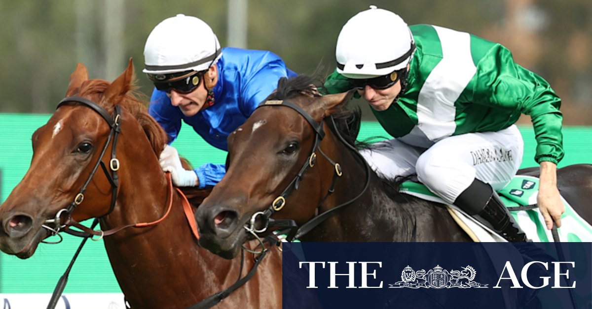 Michael Freedman sticking to patient path with Golden Slipper winner Marhoona despite lure of conquering Everest