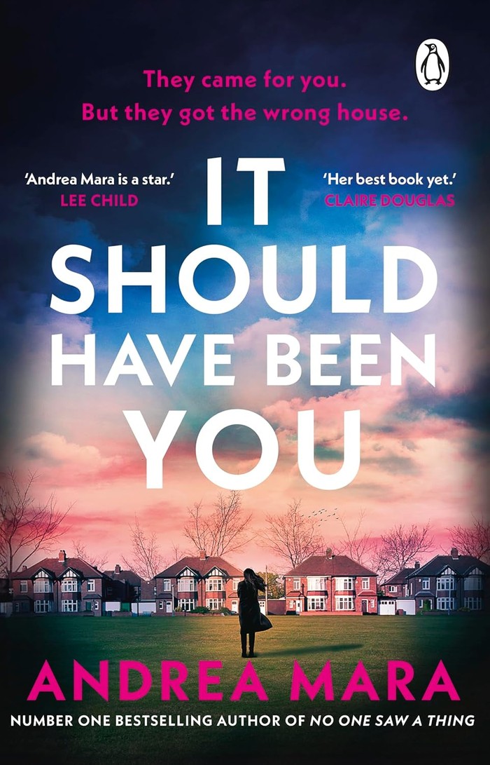 Cover for It Should Have Been you