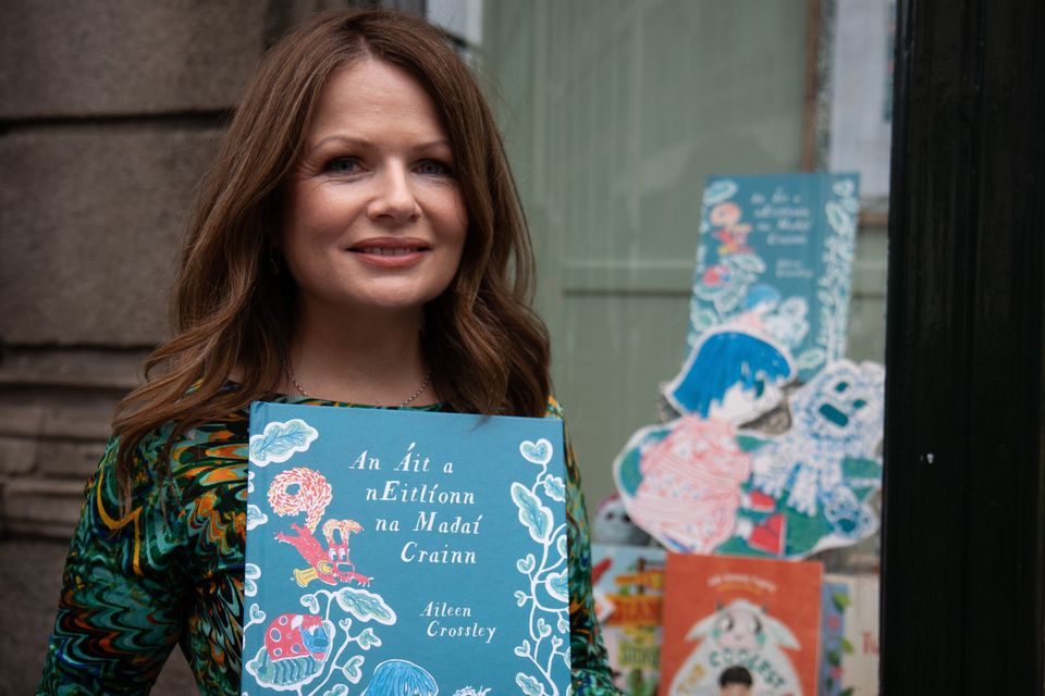 Aileen Crossley pictured the window display of her book at Hodges Figgis Dawson Street Dublin.