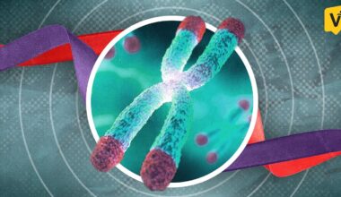 Tiny DNA caps could hold clues to heart disease, cancer among Filipinos