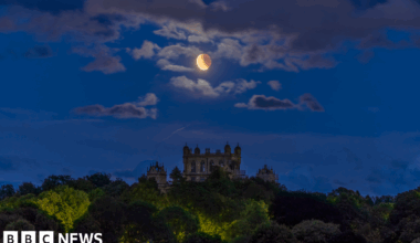 The blood moon above the top of Wollaton Hall which is poking up above the tree line.