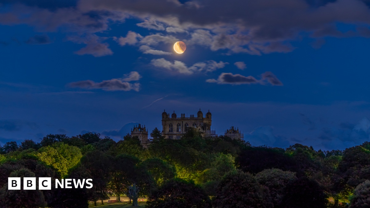 The blood moon above the top of Wollaton Hall which is poking up above the tree line.