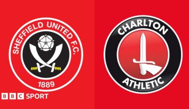 Club badges banner