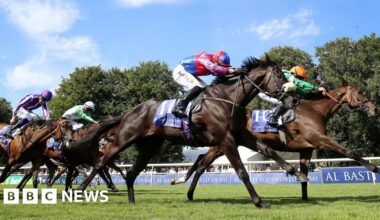 Online betting tax hike 'absolutely detrimental' to horse racing