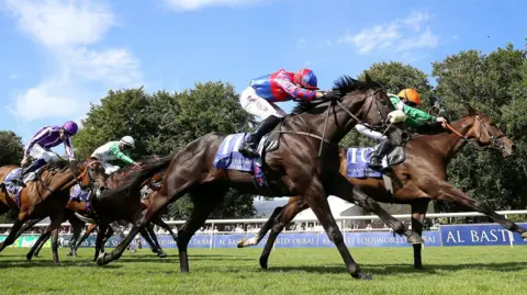 PA Media Horses being ridden by jockeys race down Newmarket race course. The horses are all a dark brown colour and the jockeys wear colourful tops. 