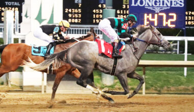 Download app from appStore