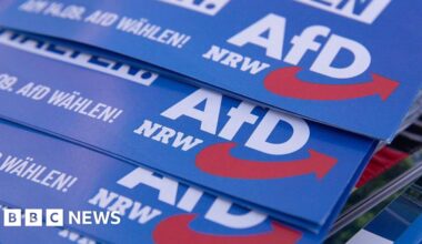 Germany's far-right AfD suffers series of candidate deaths ahead of local vote