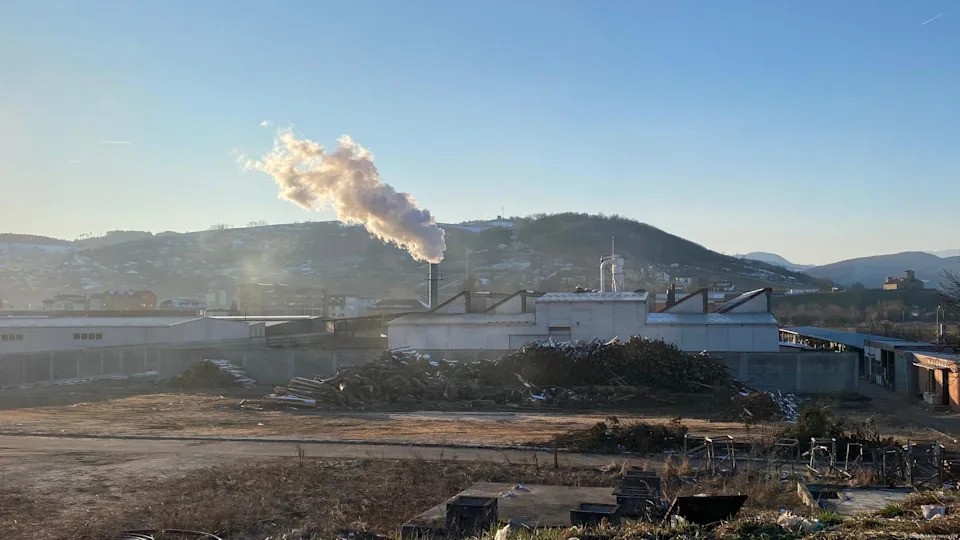 Environmental groups visited a biomass plant in Serbia and raised serious concerns about the impact on health<span class="copyright">Dragan Maksimovic/DW</span>