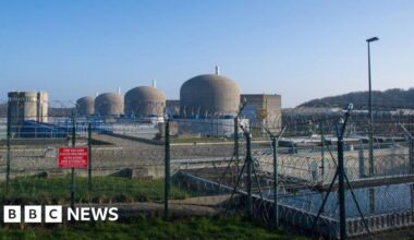 Jellyfish disrupt French nuclear power plant for second time