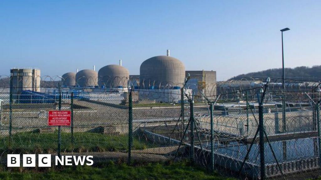 Jellyfish disrupt French nuclear power plant for second time