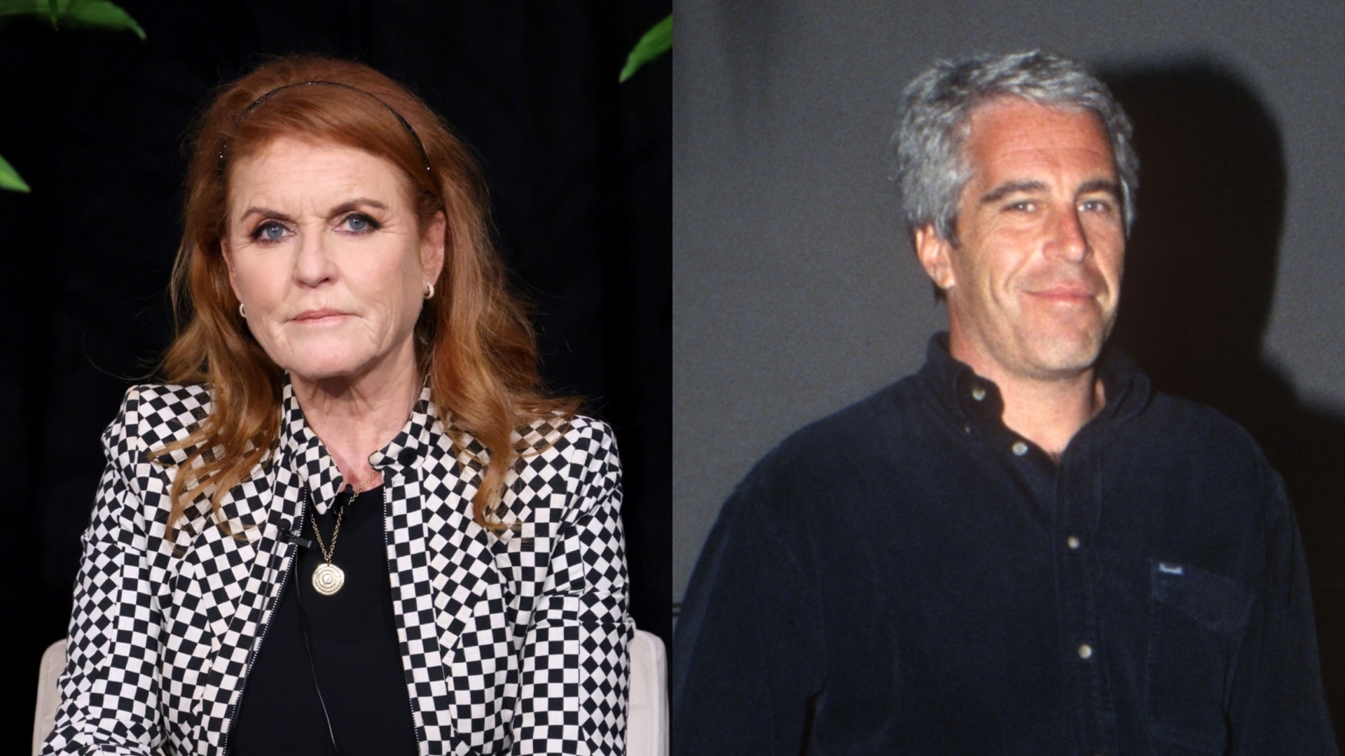 The institution should be ‘very concerned’ about future ‘Epstein documents’