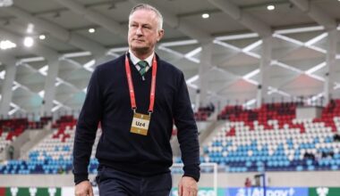 World Cup: Michael O'Neill expects a backlash from Germany