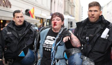 Ireland intervenes after Gaza activist national beaten by German police | Protests News