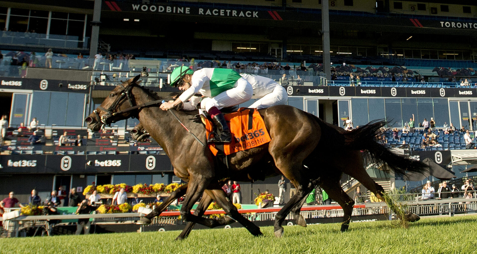 Woodbine partners with 1/ST for Pegasus World Cup Filly & Mare Turf Qualifier