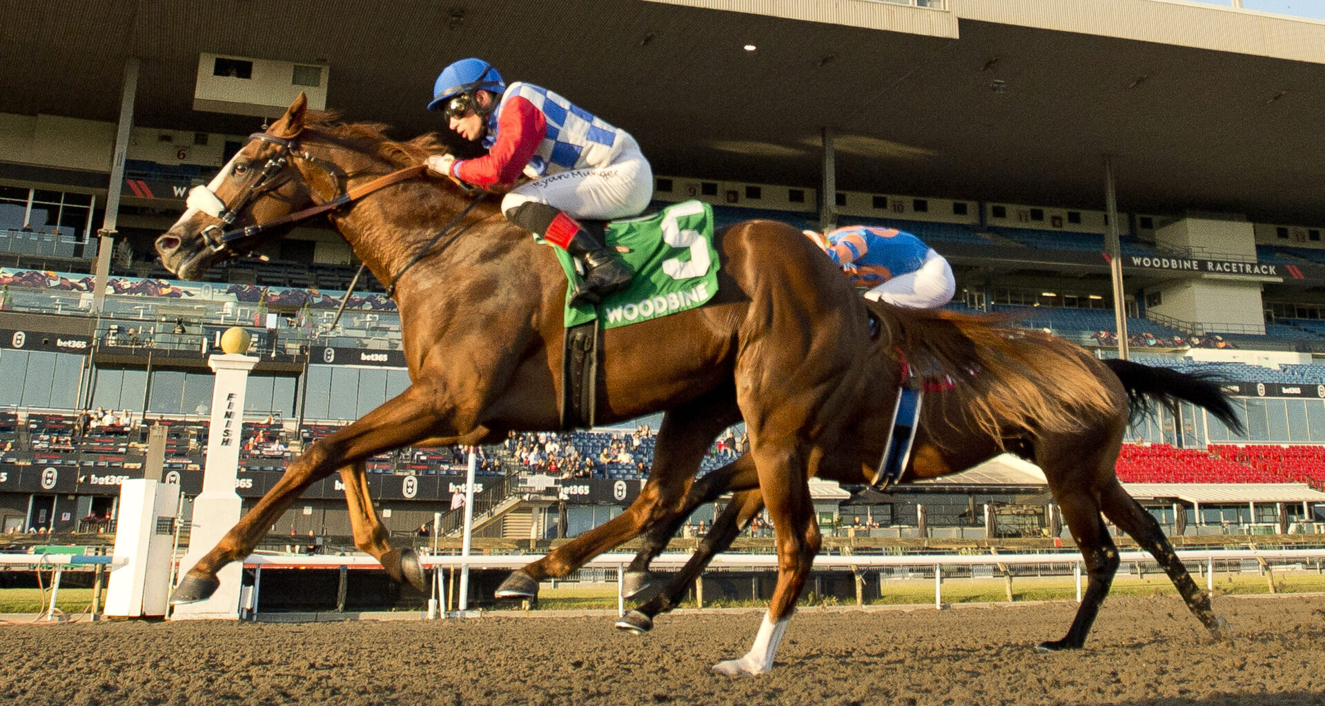 Dresden Row back on track, ready for Grade 3 Durham Cup test