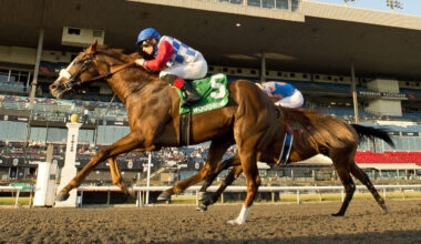 Dresden Row back on track, ready for Grade 3 Durham Cup test