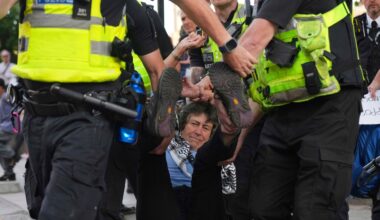 British police arrest over 400 at pro-Palestine London protest | Protests News