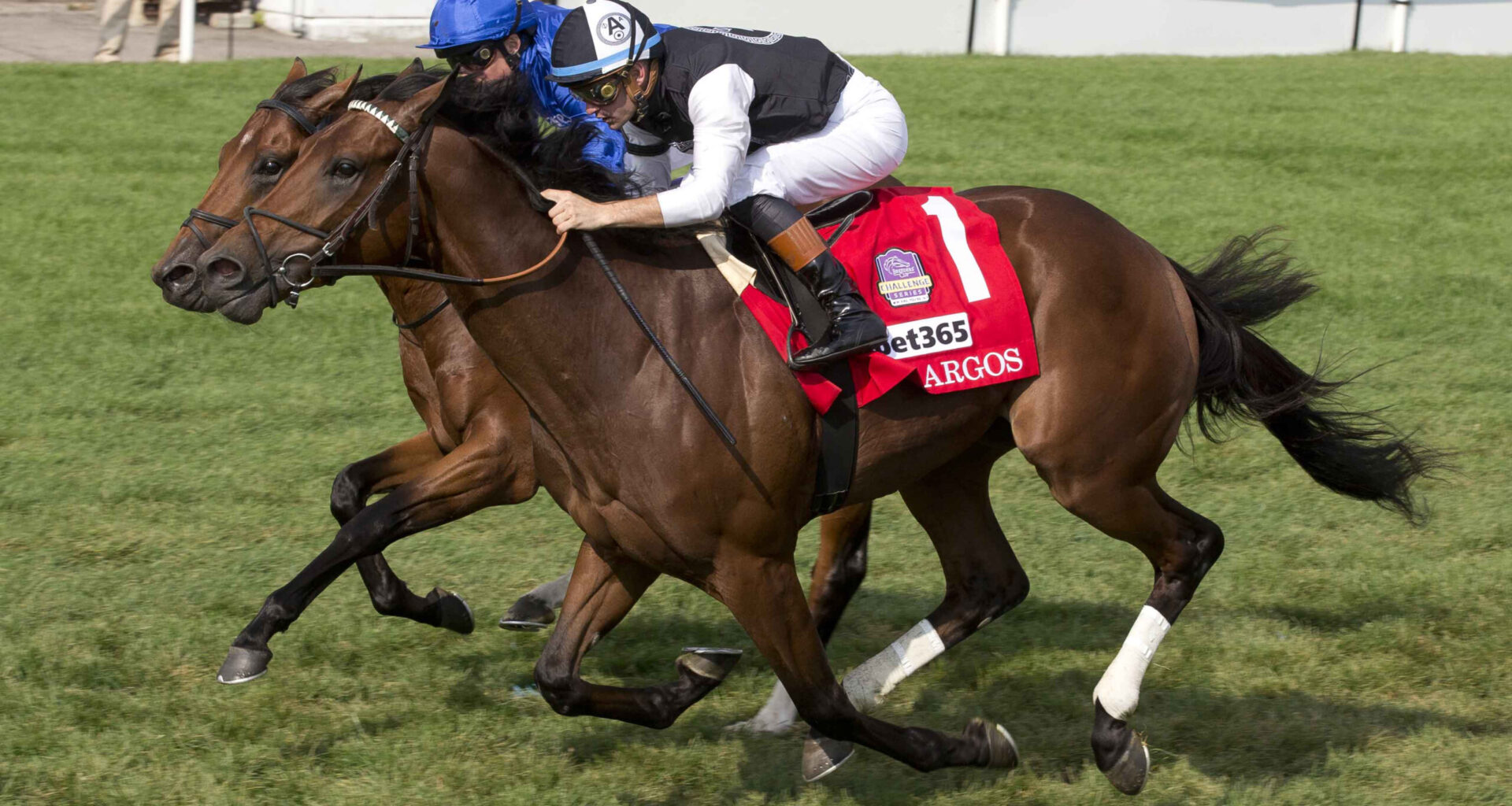 Argos converts ideal trip into Grade 1 Summer Stakes triumph