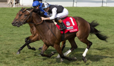 Argos converts ideal trip into Grade 1 Summer Stakes triumph