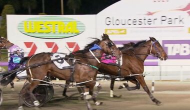 Gloucester Park Harness Racing