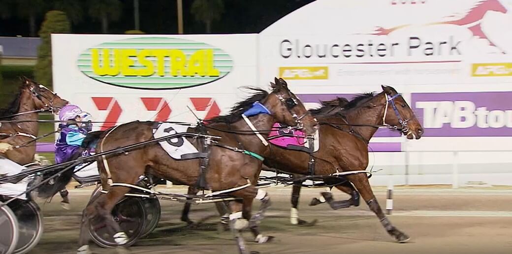 Gloucester Park Harness Racing