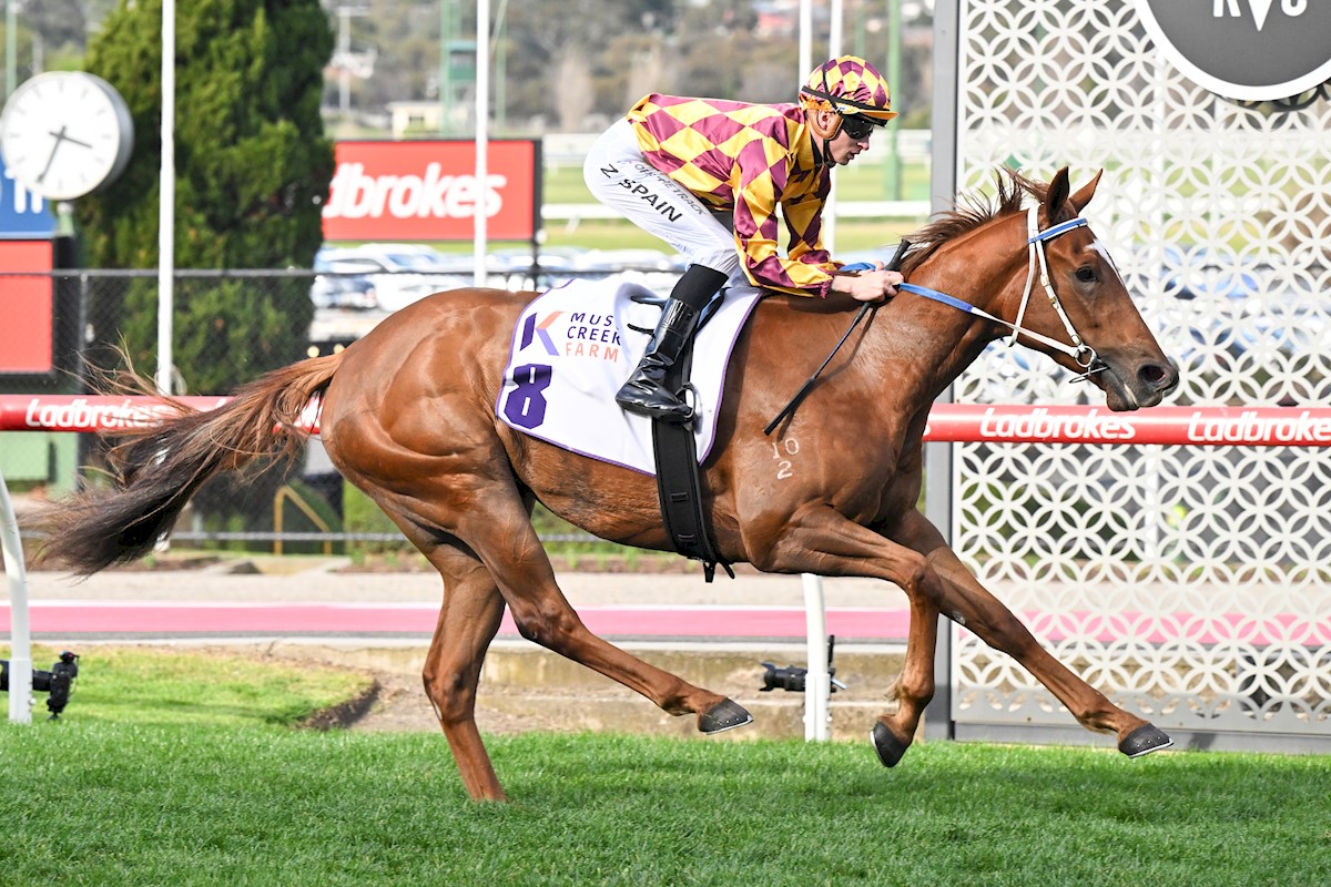 Alpha Sofie strikes in Atlantic Jewel as Guineas path beckons