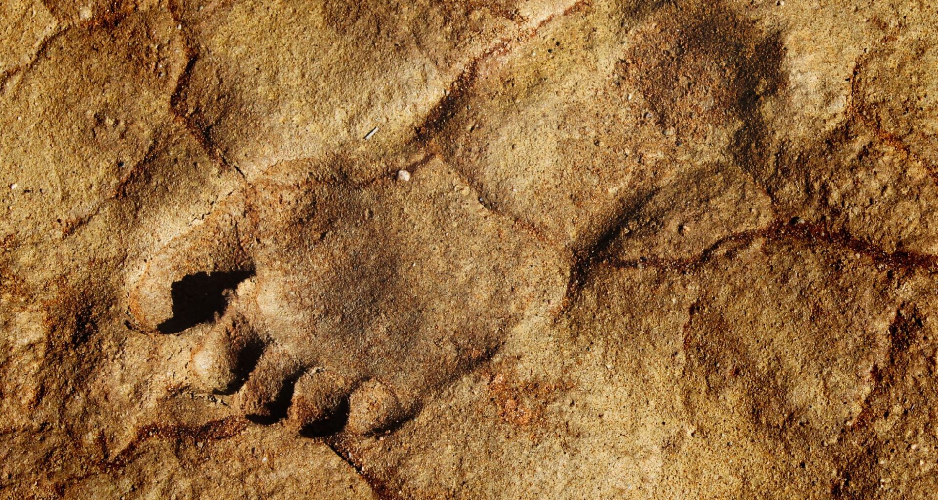 Ancient Footprints In Germany Capture A Prehistoric Family Moment 300,000 Years Ago